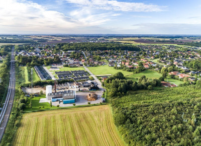 Hovedgård